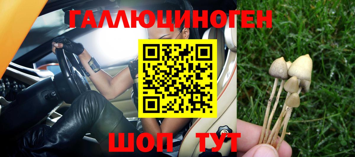Псилоцибиновые грибы Cubensis Надым